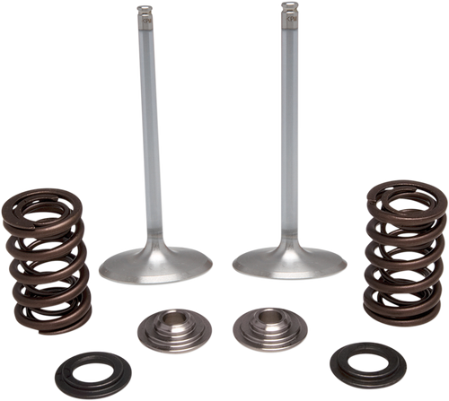 Intake Valve Kit