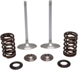 Intake Valve Kit