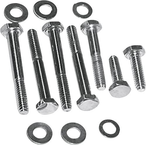 Cover Screw Kit - Chrome - Lutzka's Garage