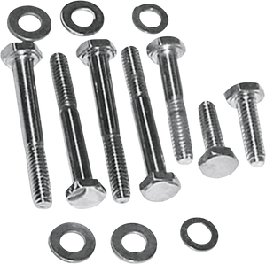 Cover Screw Kit - Chrome - Lutzka's Garage