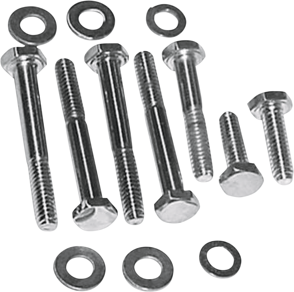 Cover Screw Kit - Chrome - Lutzka's Garage