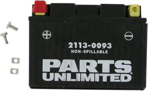 AGM Battery - YTZ14S