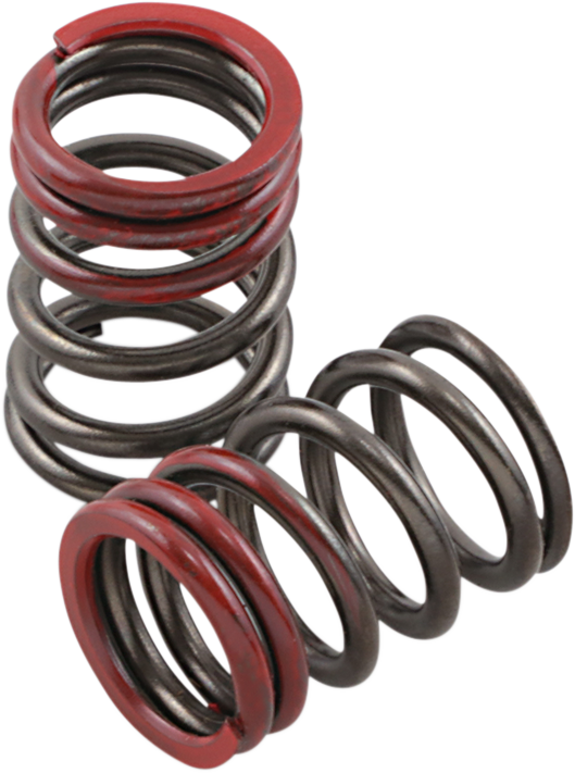 Valve Springs - Exhaust - Kawasaki | Suzuki