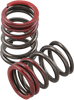 Valve Springs - Exhaust - Kawasaki | Suzuki