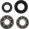 Main Bearing Kit