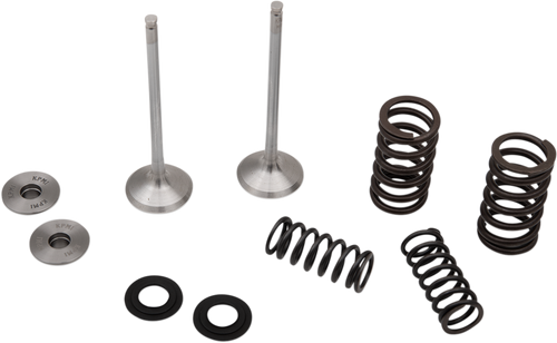 Valve and Spring Kit