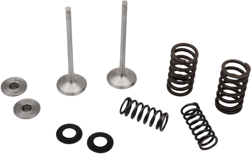 Valve and Spring Kit