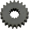 Standard Sprocket - 21-Tooth - Ski-Doo - Lutzka's Garage