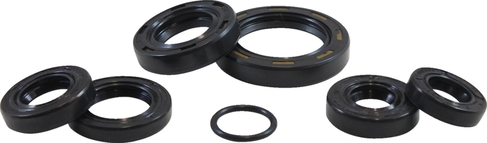 Oil Seal Kit