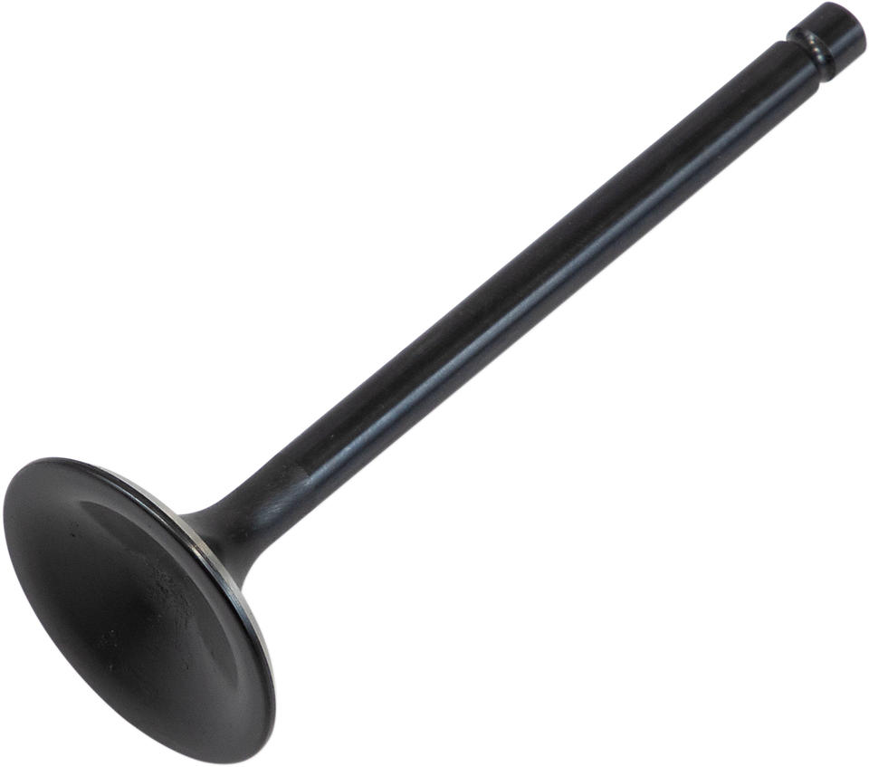 Exhaust Valve