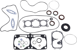 Gasket Kit with Oil Seals - Ski Doo 600 ETEC