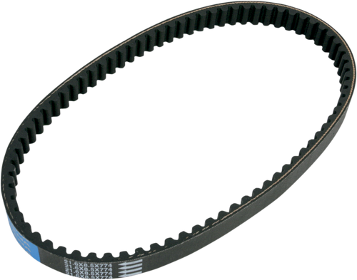 Transmission Belt - 21.6 x 8.5 x 774