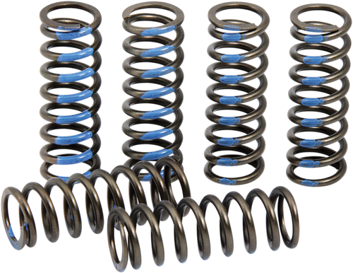 Clutch Springs - YZ 250F