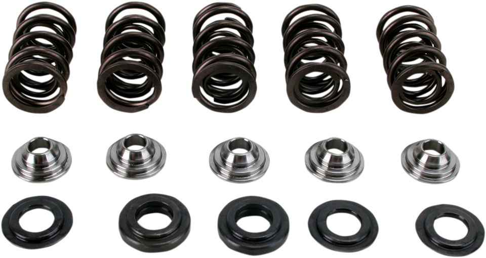 Valve Spring Kit