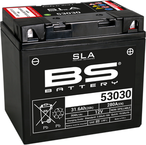 Battery - 53030