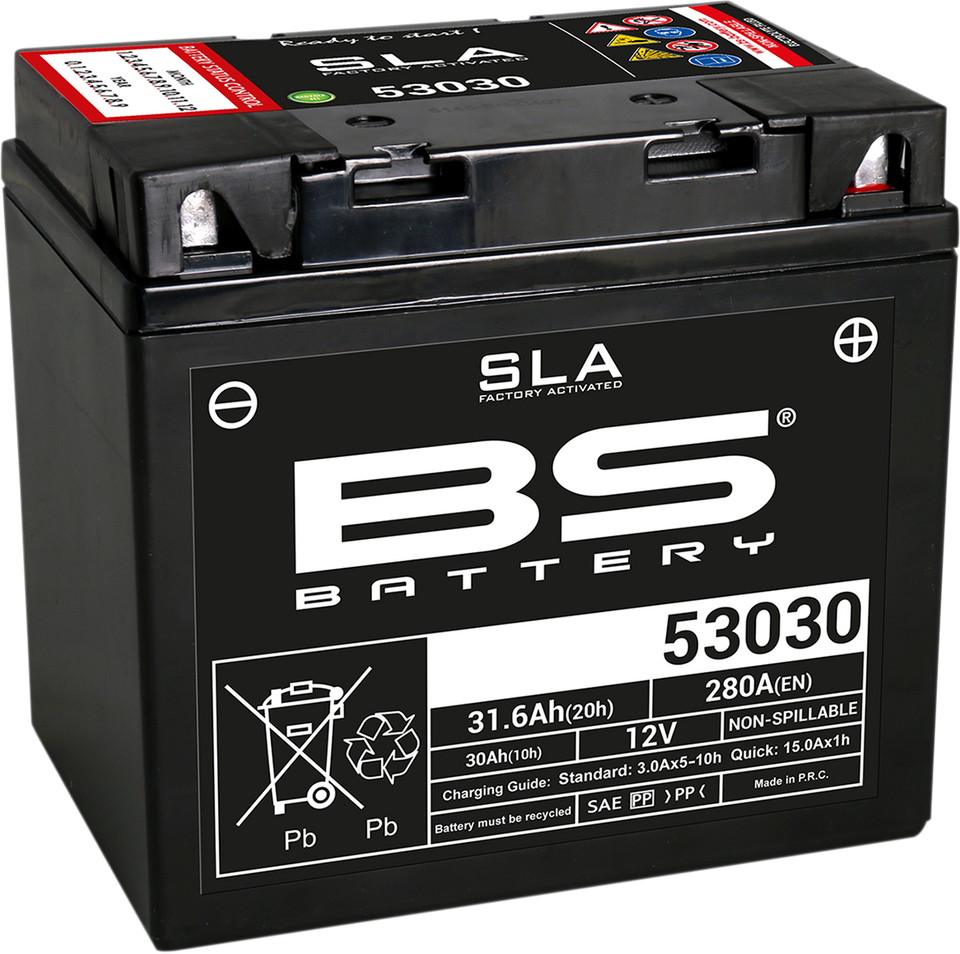 Battery - 53030