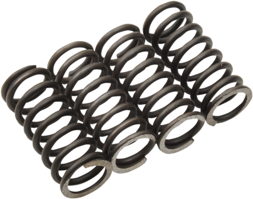 Clutch Springs - TTR 125/L