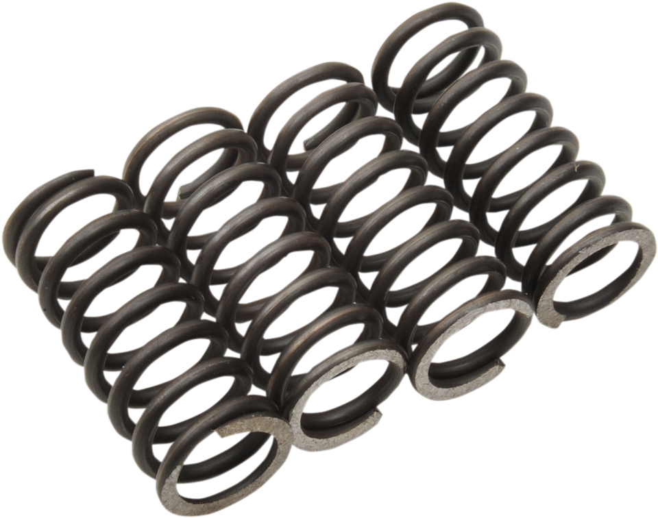 Clutch Springs - TTR 125/L