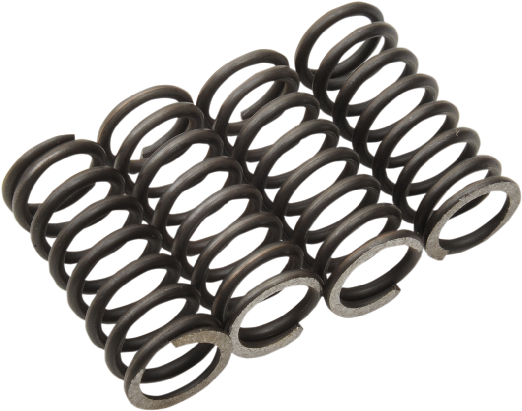 Clutch Springs - TTR 125/L