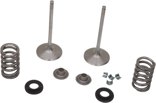 Intake Valve Kit