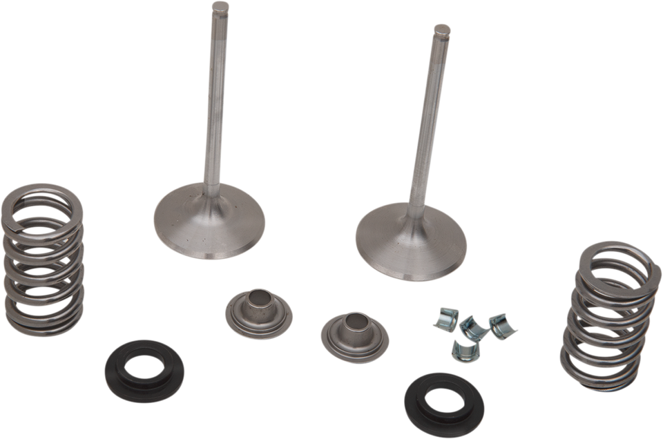 Intake Valve Kit