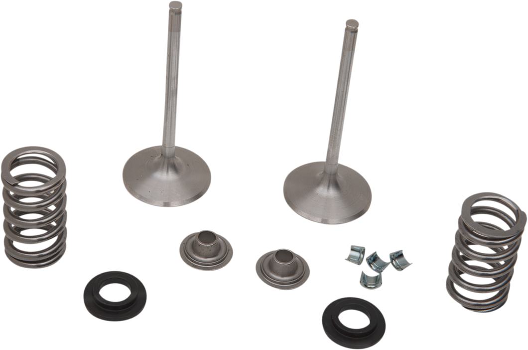 Intake Valve Kit