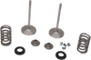 Intake Valve Kit