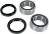 Wheel Bearing Kit - Rear - Yamaha