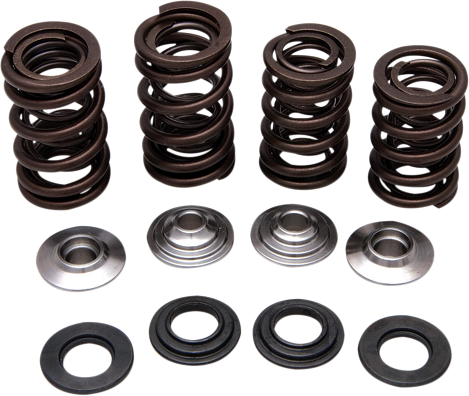 Valve Spring Kit