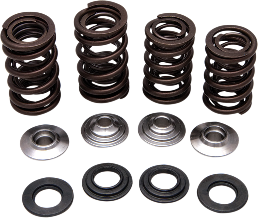 Valve Spring Kit