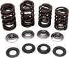 Valve Spring Kit