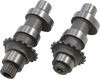 Conversion Camshaft