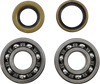 Main Bearing Kit