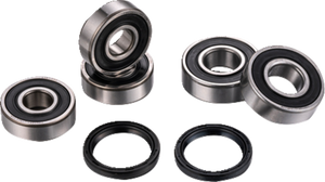 Wheel Bearing Kit - Rear