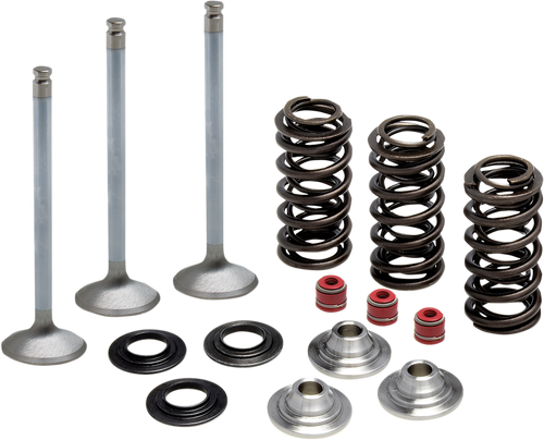 Valve Spring Kit