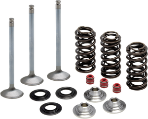 Valve Spring Kit