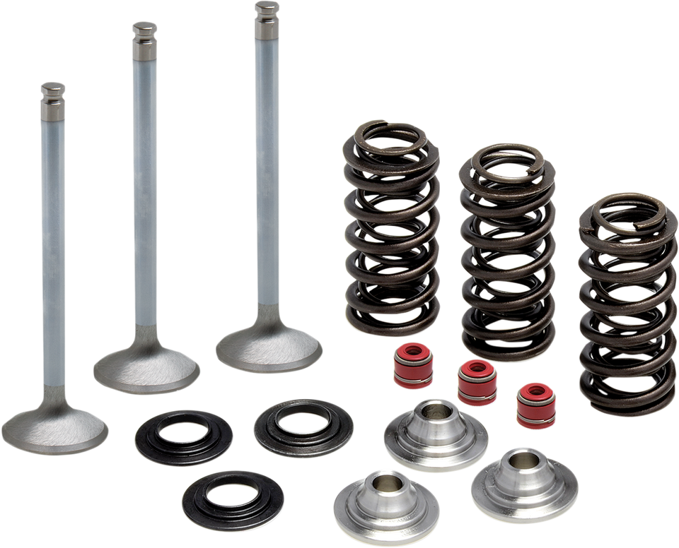 Valve Spring Kit