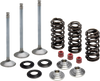 Valve Spring Kit