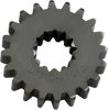 Standard Sprocket - 20-Tooth - Ski-Doo - Lutzka's Garage