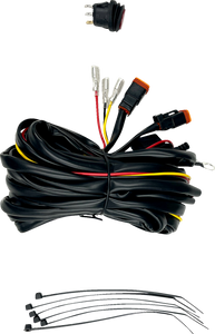 Wire Harness - Dual Light - Low Power