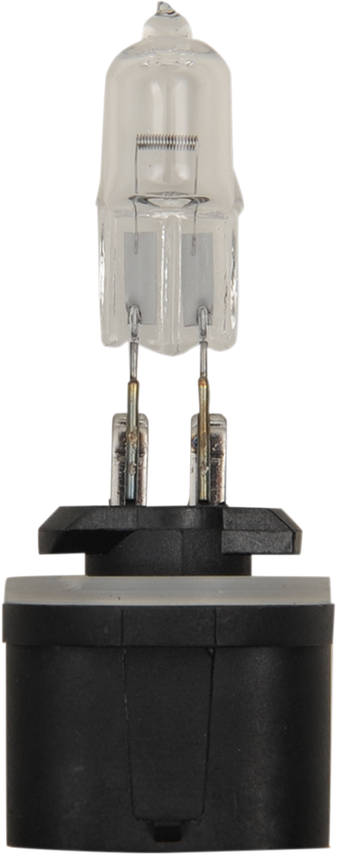 Halogen Bulb - 885 - 50W