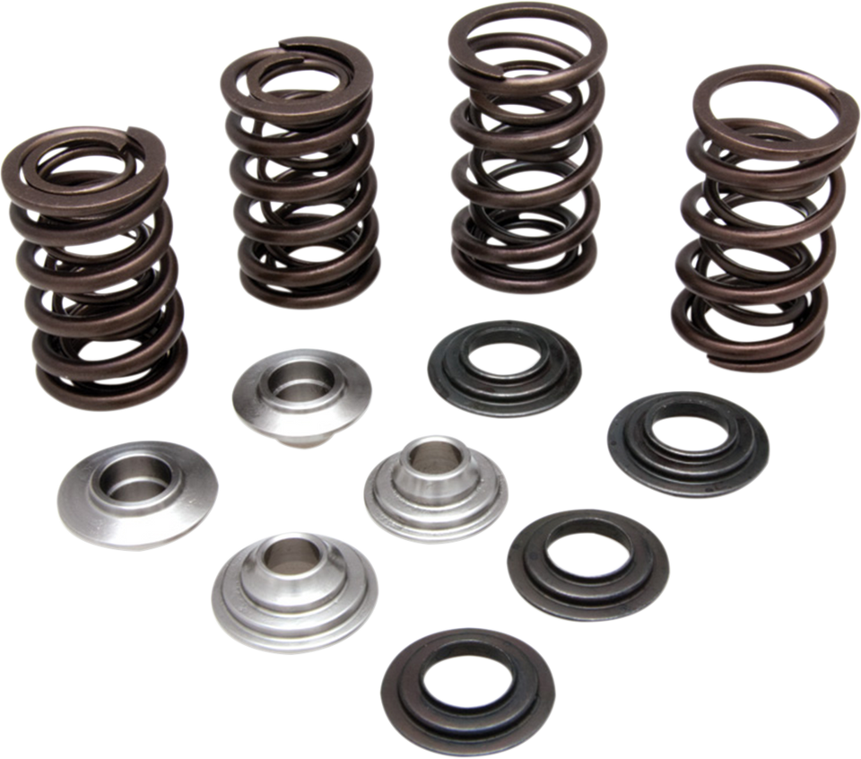 Valve Spring Kit