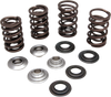 Valve Spring Kit