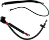 Battery Cable Assembly - 21-24 Softail