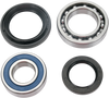 Wheel Bearing Kit - Rear