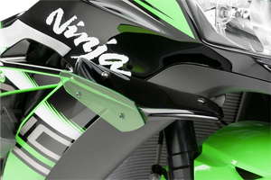 Winglets - ZX10R