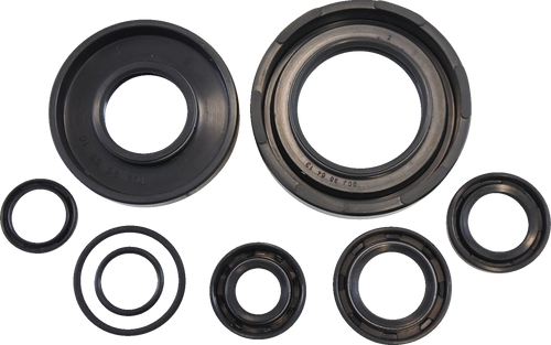 Oil Seal Kit