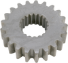 Standard Sprocket - 21-Tooth - Arctic - Lutzka's Garage