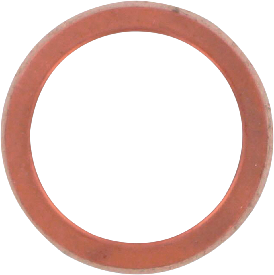 Exhaust Gasket