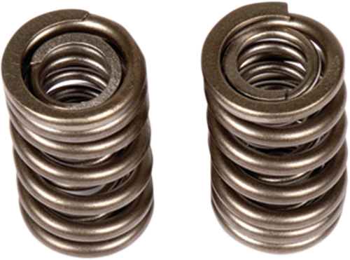 Valve Springs